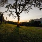 Sonnenaufgang am Attersee 