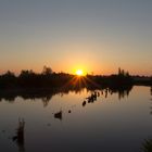 Sonnenaufgang am Aussichtsturm Linteler Weiden