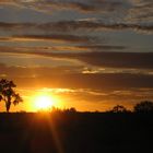 Sonnenaufgang am Ayers Rock