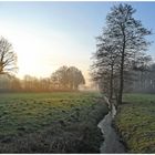 Sonnenaufgang am Bach