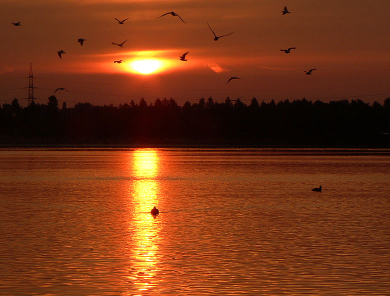 Sonnenaufgang am Baggersee