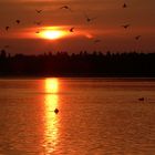 Sonnenaufgang am Baggersee