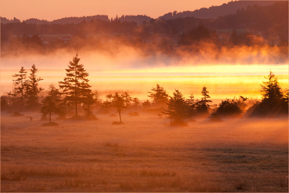 sonnenaufgang am bannwaldsee