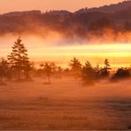 sonnenaufgang am bannwaldsee