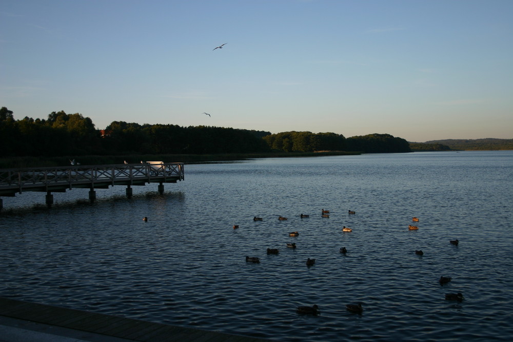 Sonnenaufgang am Binnensee in Binz