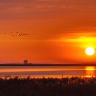 Sonnenaufgang am Bodden