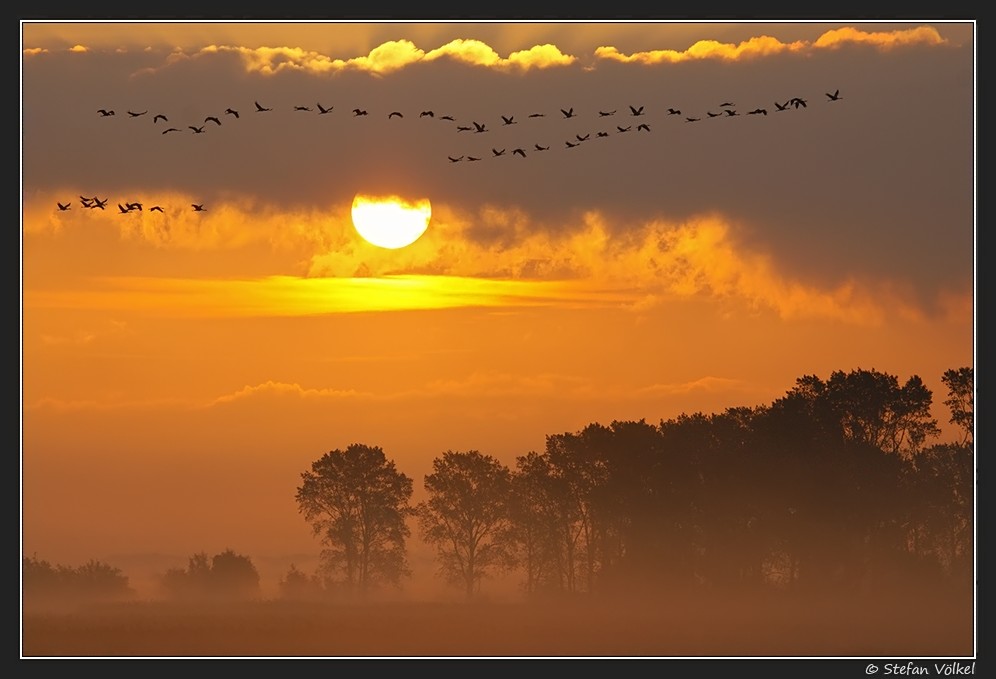 Sonnenaufgang am Bodden