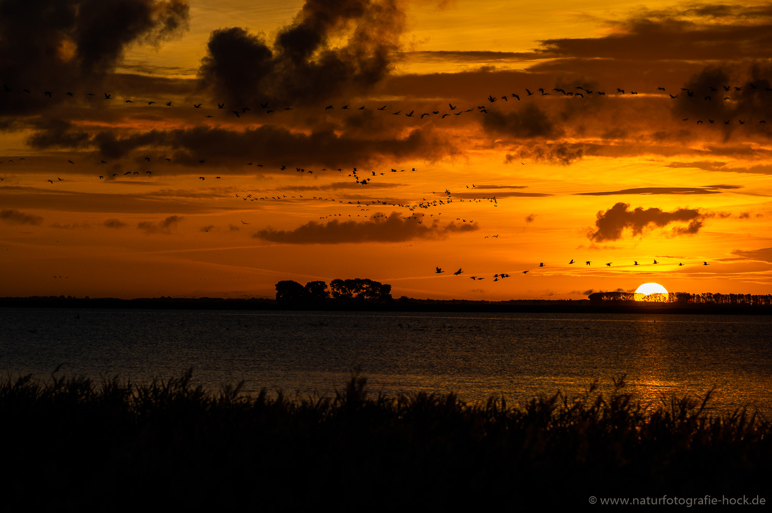 ~ Sonnenaufgang am Bodden ~