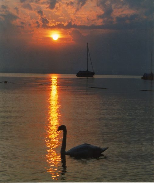 Sonnenaufgang am Bodensee