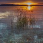 SONNENAUFGANG AM BODENSEE