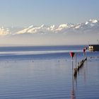 Sonnenaufgang am Bodensee