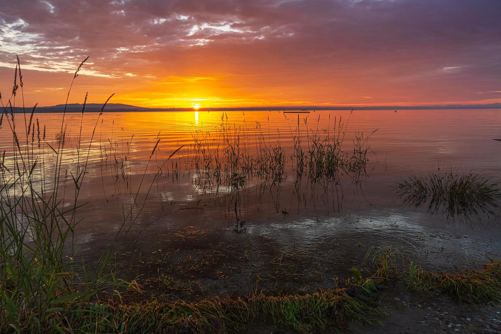 SONNENAUFGANG AM BODENSEE