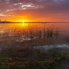 SONNENAUFGANG AM BODENSEE