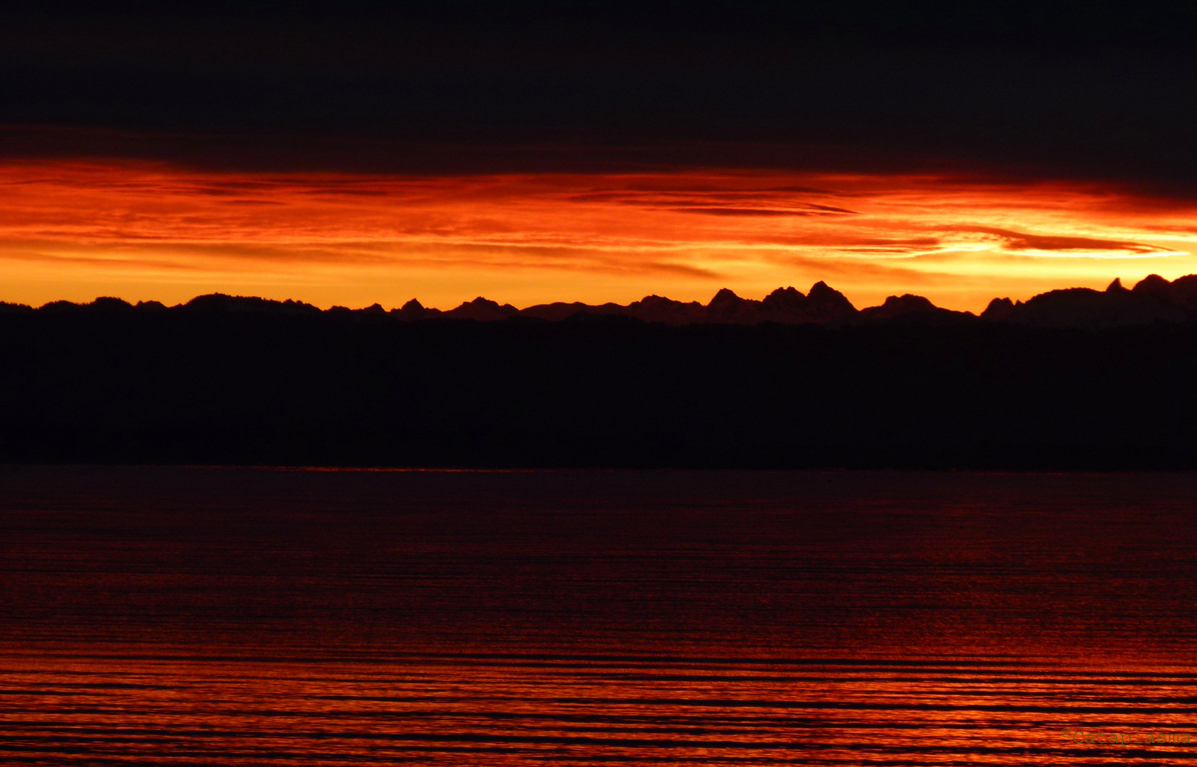 Sonnenaufgang am Bodensee