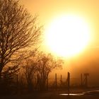 Sonnenaufgang am Bodensee