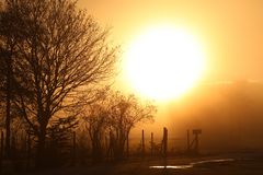 Sonnenaufgang am Bodensee