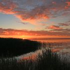 Sonnenaufgang am Bodstedter Bodden (2)