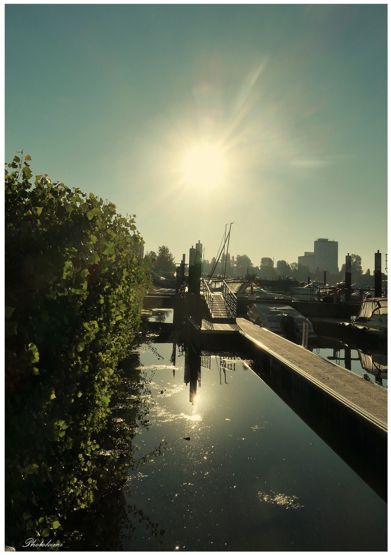 Sonnenaufgang am Bootshafen