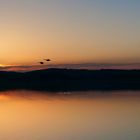 Sonnenaufgang am Bostalsee