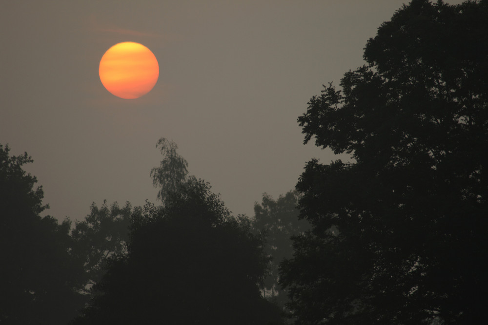 Sonnenaufgang am "Breiten Wasser"