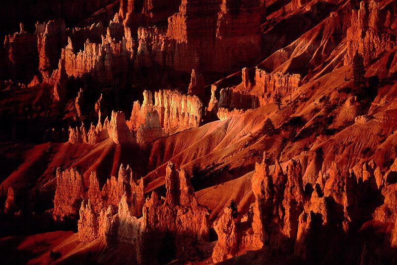 Sonnenaufgang am Bryce Canyon