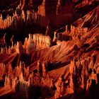 Sonnenaufgang am Bryce Canyon