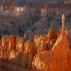 Sonnenaufgang am Bryce Canyon