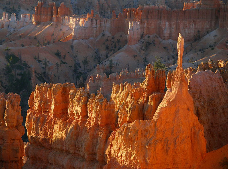 Sonnenaufgang am Bryce Canyon