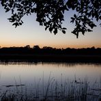 Sonnenaufgang am Chobe