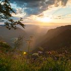 Sonnenaufgang am Creux du Van