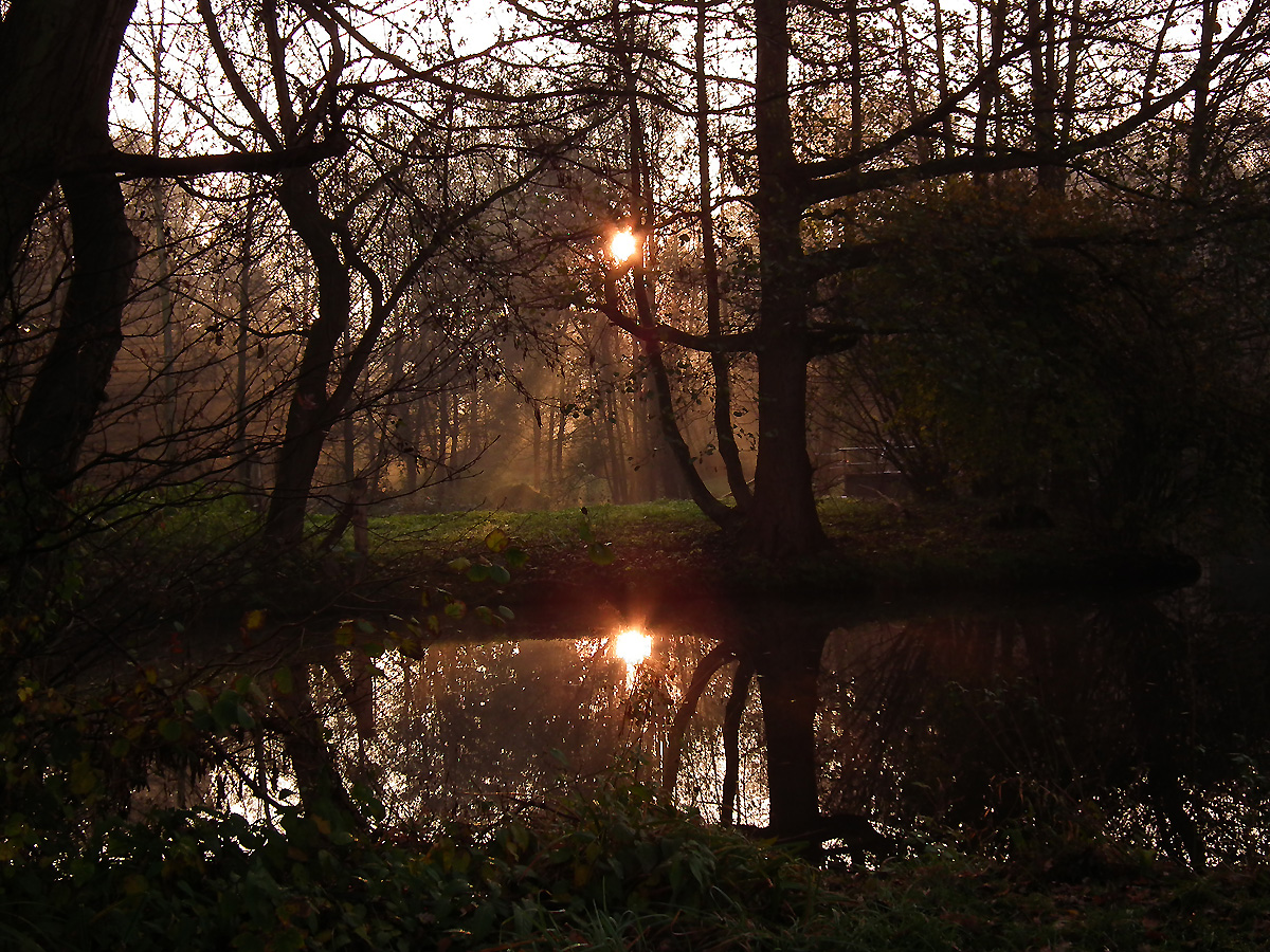 Sonnenaufgang am De Witt See