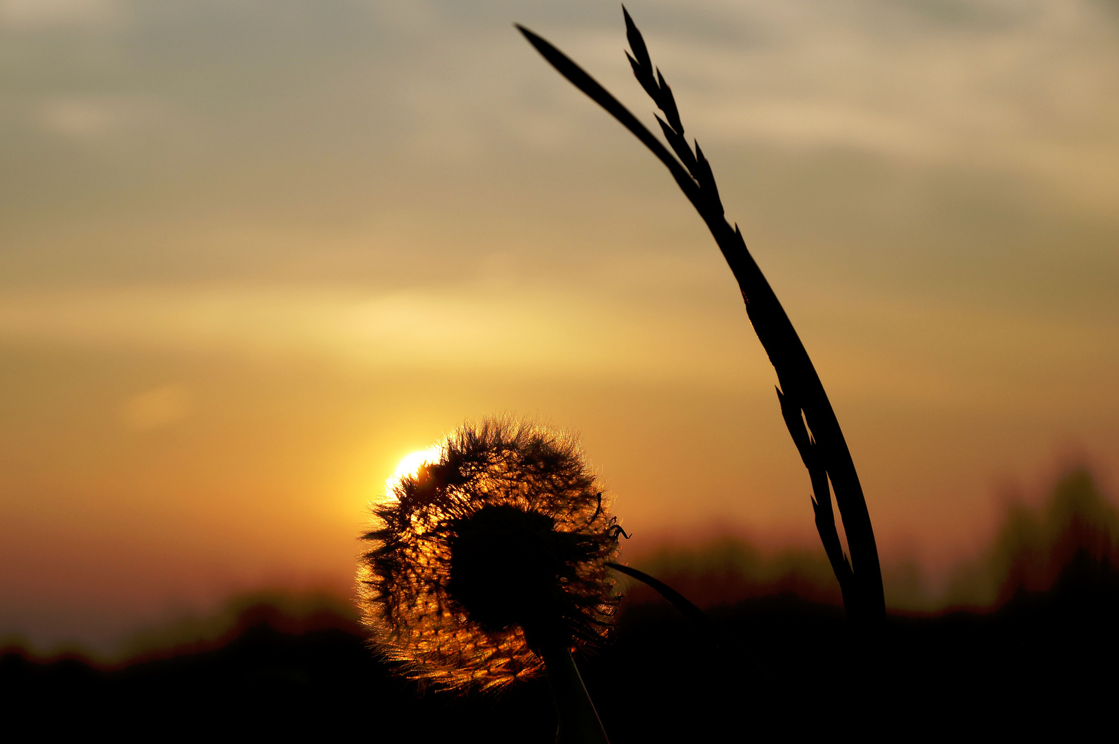 Sonnenaufgang am Deich