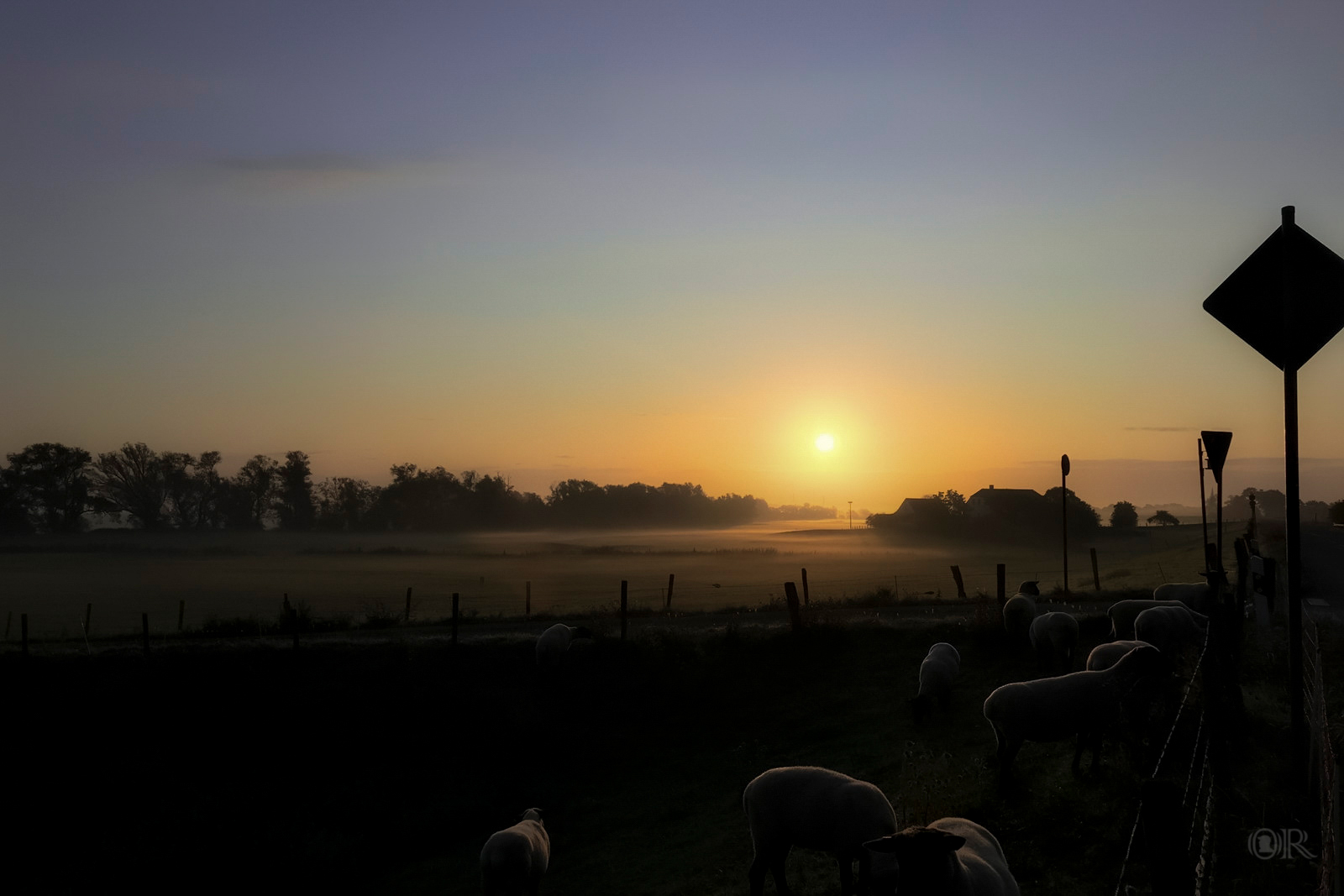 Sonnenaufgang am Deich