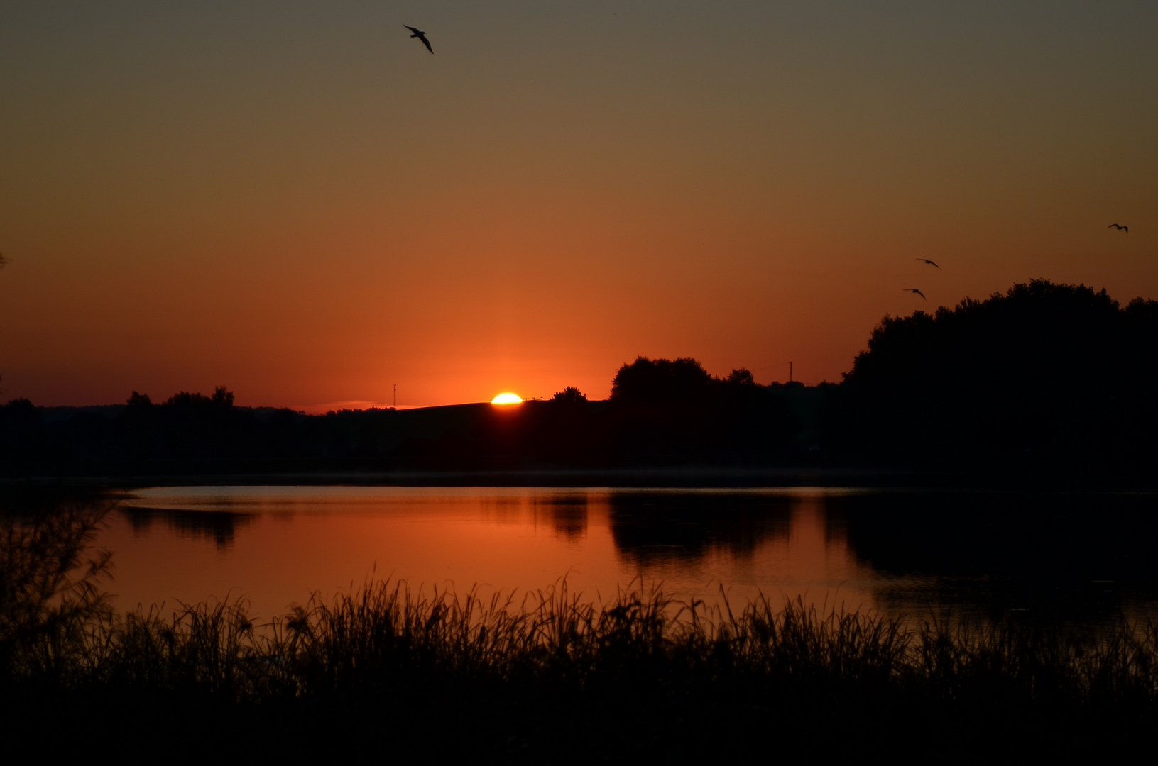 Sonnenaufgang am Döllnitzsee