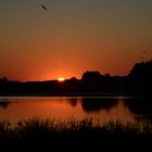 Sonnenaufgang am Döllnitzsee