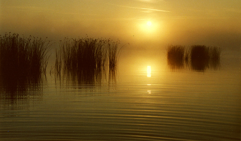 Sonnenaufgang am Dreifelder Weiher