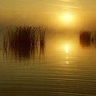 Sonnenaufgang am Dreifelder Weiher