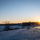 Sonnenaufgang am Drilandsee