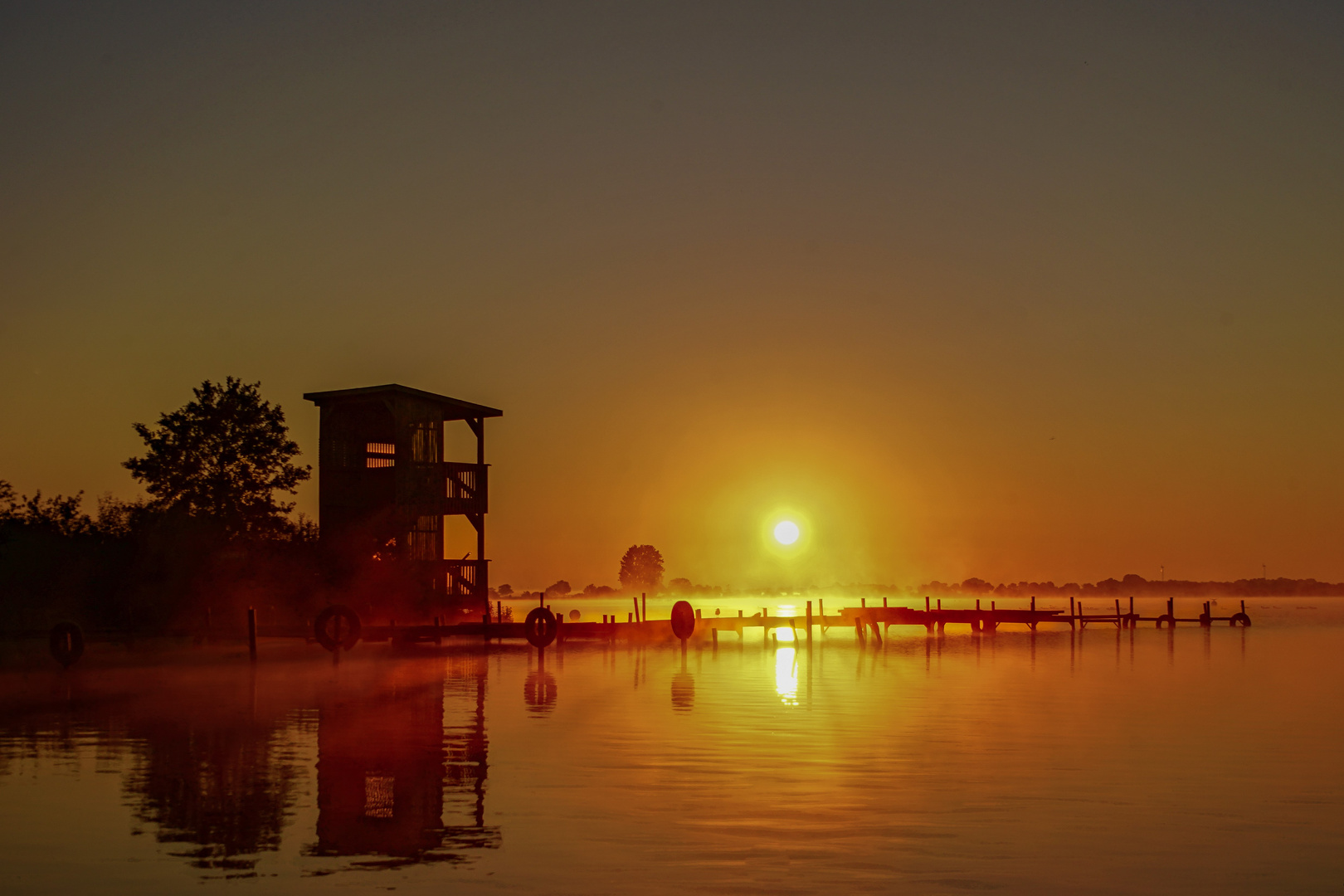 Sonnenaufgang am Dümmer Juli 2020 Olga Hafen