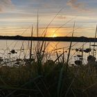 Sonnenaufgang am Egersund 