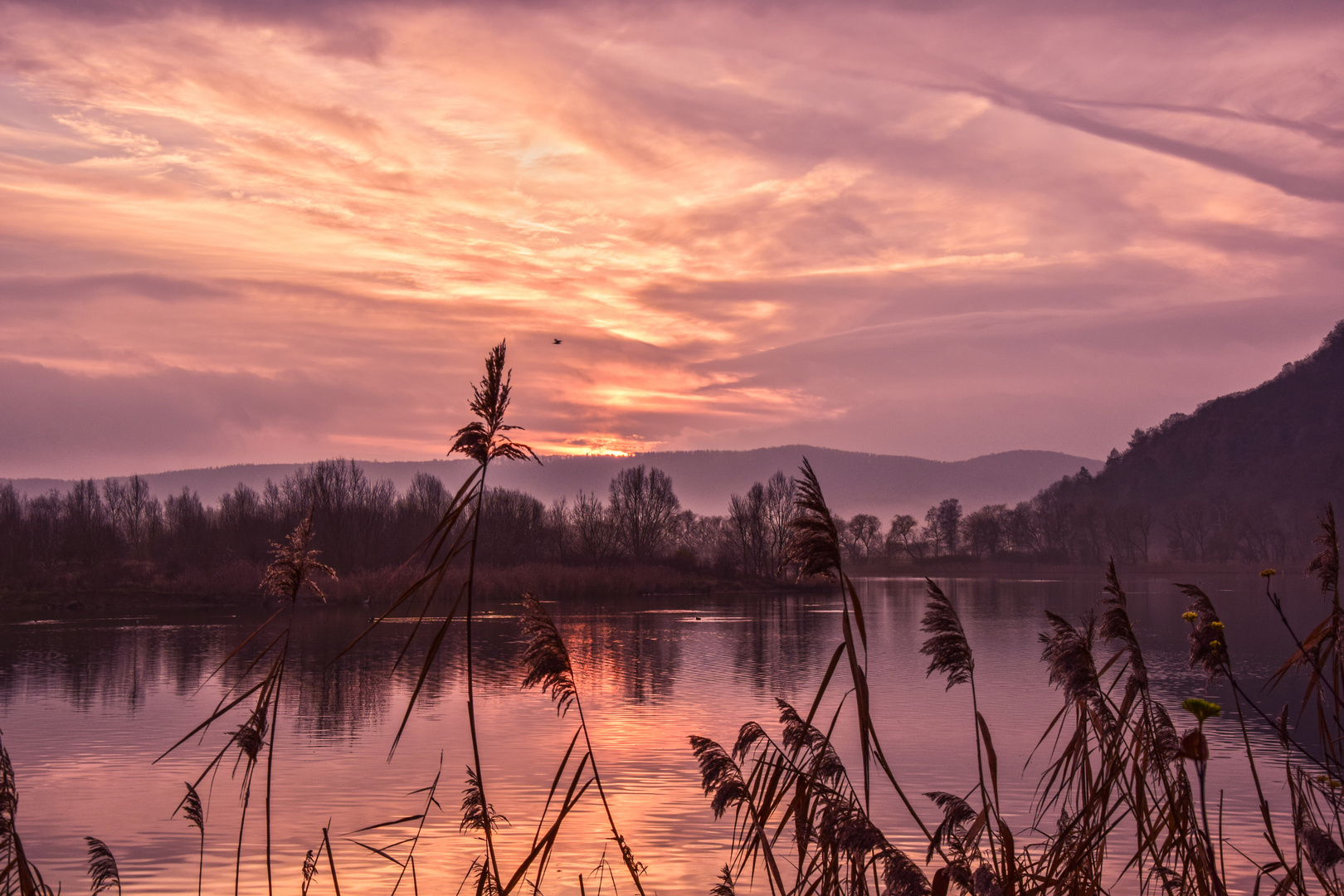 Sonnenaufgang am Eschweger Werratalsee