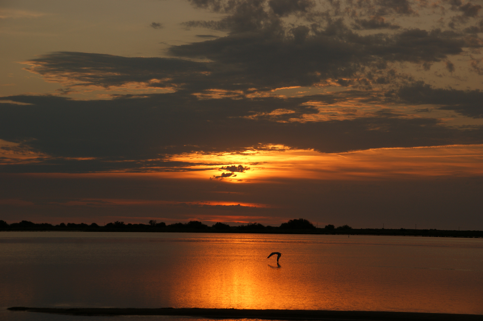 Sonnenaufgang am Etang