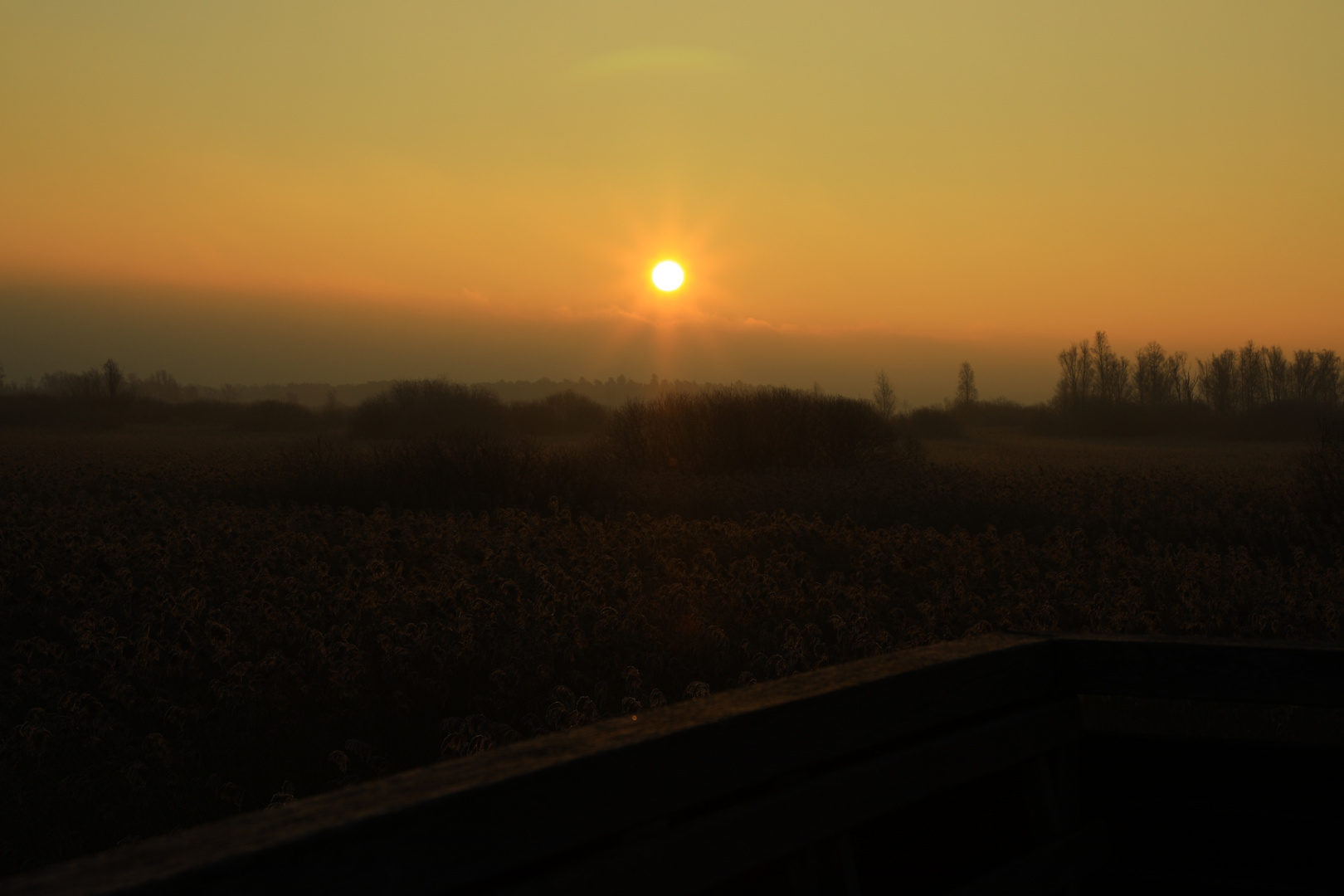 Sonnenaufgang am Federsee 16.01.22