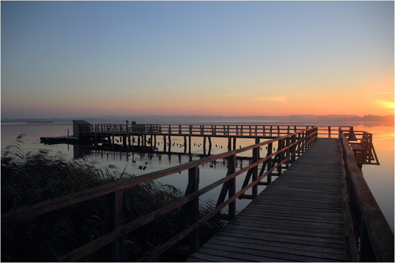 Sonnenaufgang am Federsee