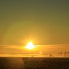 Sonnenaufgang am Federsee