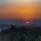 Sonnenaufgang am Federsee