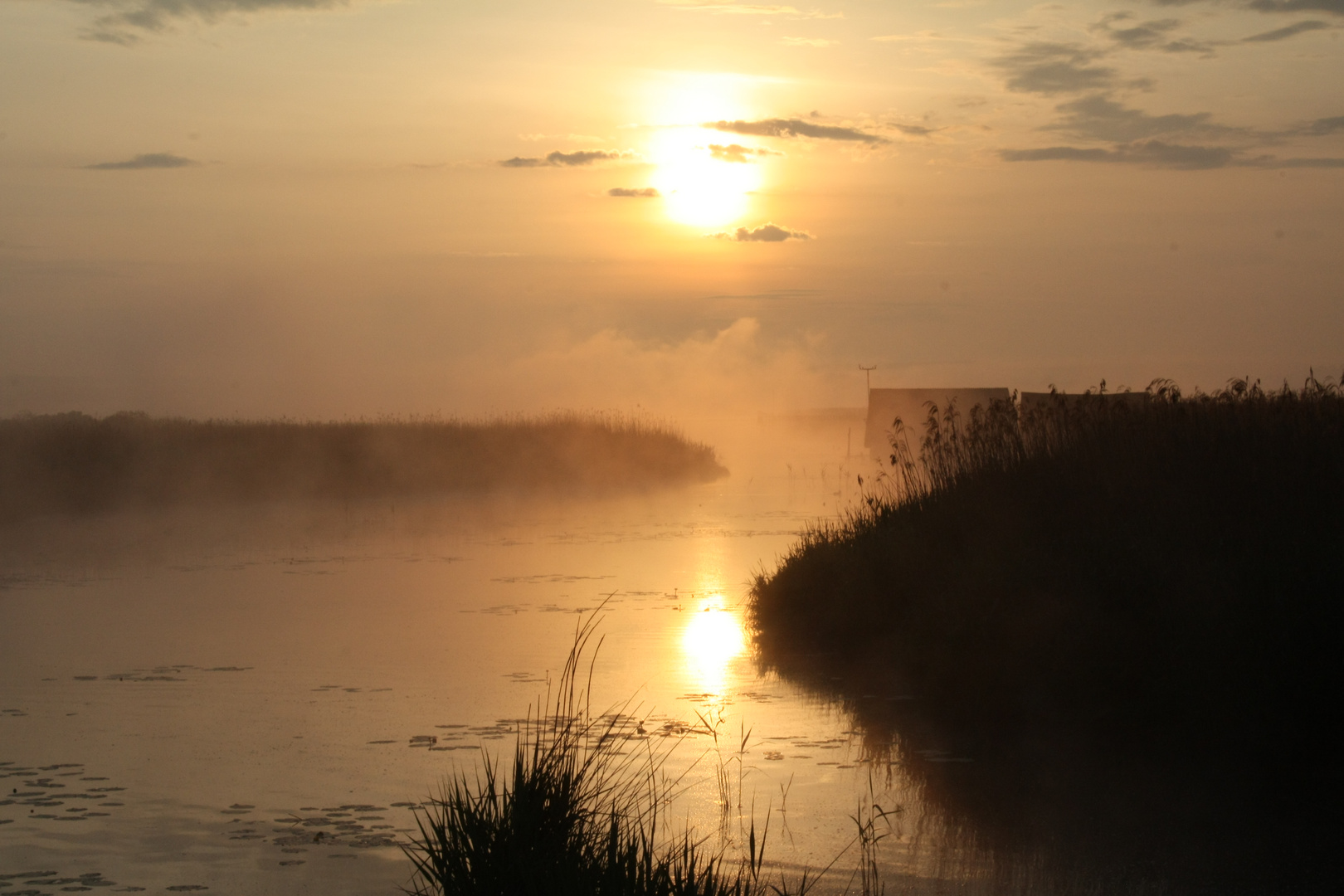 Sonnenaufgang am Federsee 2