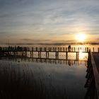 Sonnenaufgang am Federsee 5