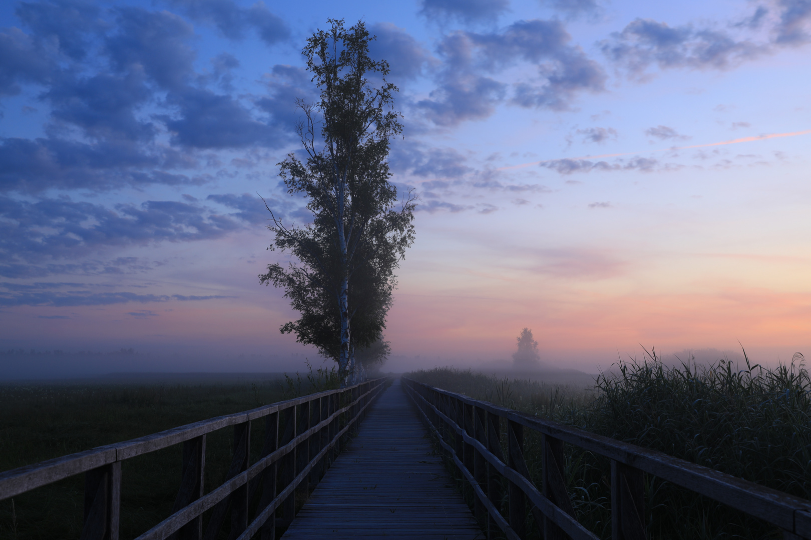 Sonnenaufgang am Federsee