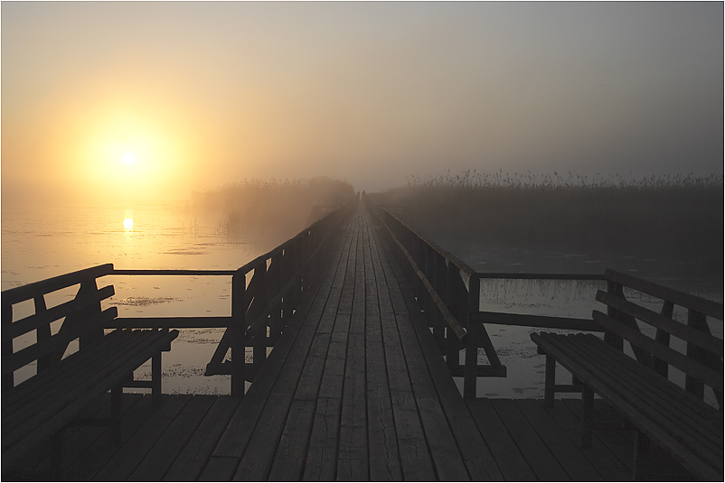 Sonnenaufgang am Federsee